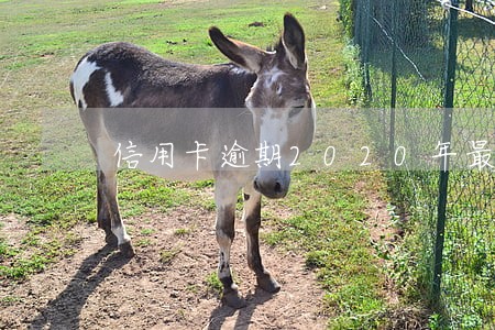 信用卡逾期2020年最新规定 信用卡逾期2020年最新规定
