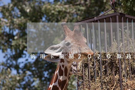 信用卡逾期2020新政策 信用卡逾期2020新政策