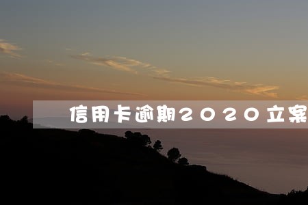 信用卡逾期2020立案标准 信用卡逾期2020立案标准