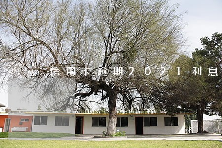 信用卡逾期2021利息 信用卡逾期2021利息