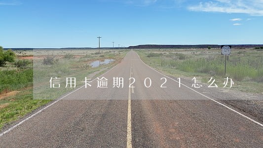 信用卡逾期2021怎么办 信用卡逾期2021怎么办