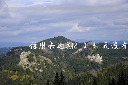 信用卡逾期203天没有钱还 信用卡逾期203天没有钱还