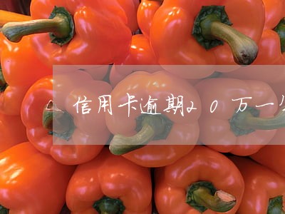 信用卡逾期20万一年利息 信用卡逾期20万一年利息