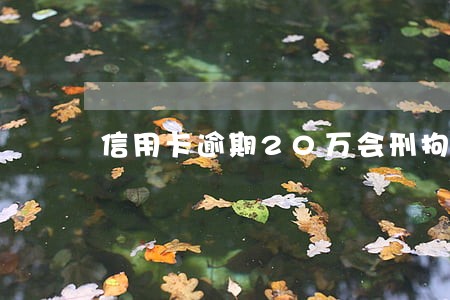 信用卡逾期20万会刑拘吗