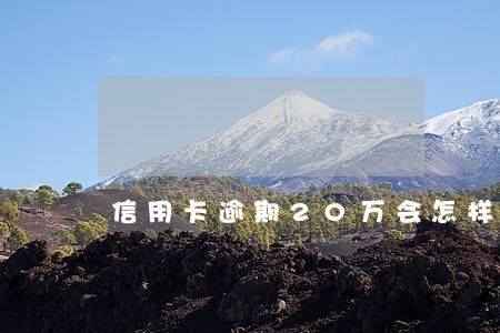 信用卡逾期20万会怎样 信用卡逾期20万会怎样