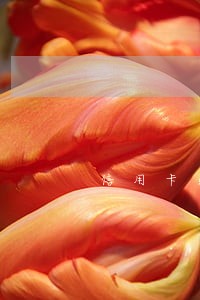 信用卡逾期20万利息多少钱