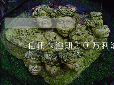 信用卡逾期20万利滚利怎么办