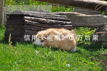 信用卡逾期20万后果 信用卡逾期20万后果