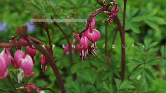 信用卡逾期20万坐几年牢 信用卡逾期20万坐几年牢