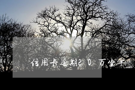 信用卡逾期20万坐牢 信用卡逾期20万坐牢