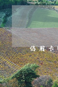 信用卡逾期20万如何上岸 信用卡逾期20万如何上岸
