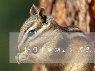 信用卡逾期20万怎么还 信用卡逾期20万怎么还