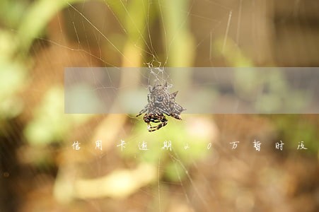 信用卡逾期20万暂时没钱还怎么解决 信用卡逾期20万暂时没钱还怎么解决