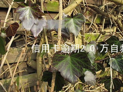 信用卡逾期20万自救 信用卡逾期20万自救