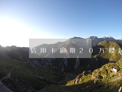信用卡逾期20万被起诉 信用卡逾期20万被起诉