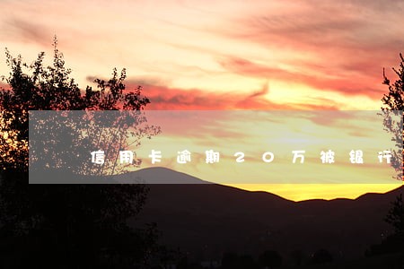 信用卡逾期20万被银行起诉 信用卡逾期20万被银行起诉