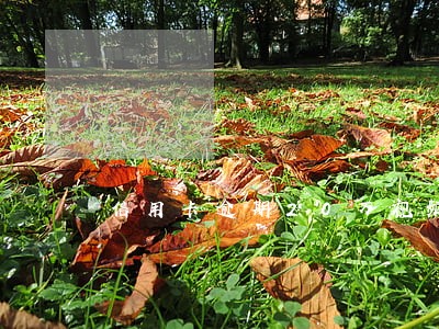 信用卡逾期20万视频 信用卡逾期20万视频
