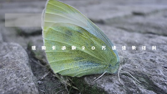 信用卡逾期20万请法务谈判 信用卡逾期20万请法务谈判