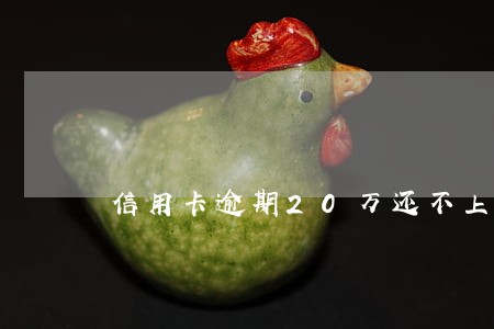 信用卡逾期20万还不上的后果