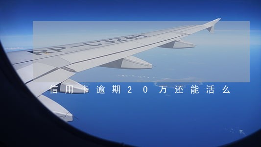 信用卡逾期20万还能活么