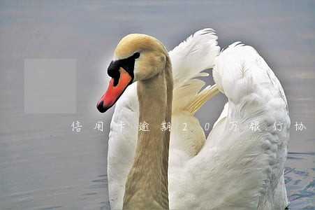 信用卡逾期20万银行协商