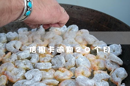 信用卡逾期20个月