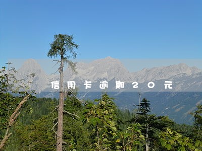 信用卡逾期20元