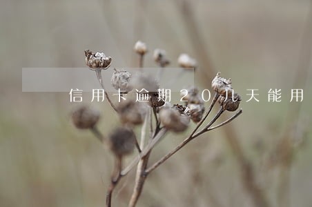 信用卡逾期20几天能用 信用卡逾期20几天能用