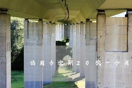 信用卡逾期20块一个月
