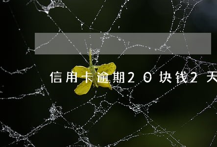 信用卡逾期20块钱2天 信用卡逾期20块钱2天