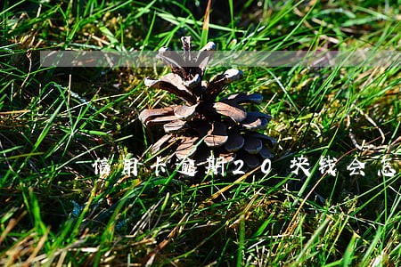 信用卡逾期20块钱会怎么样 信用卡逾期20块钱会怎么样