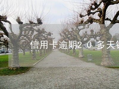 信用卡逾期20多天银行没打电话 信用卡逾期20多天银行没打电话