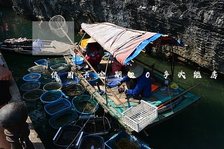 信用卡逾期20多次能房贷吗 信用卡逾期20多次能房贷吗