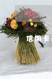 信用卡逾期20天了 信用卡逾期20天了