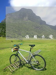 信用卡逾期20天会不会停卡
