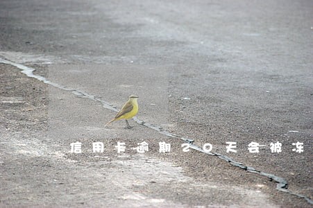 信用卡逾期20天会被冻结吗 信用卡逾期20天会被冻结吗