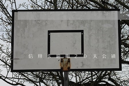 信用卡逾期20天会锁卡吗 信用卡逾期20天会锁卡吗