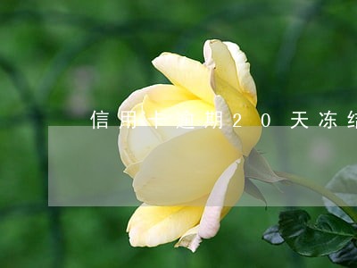 信用卡逾期20天冻结 信用卡逾期20天冻结