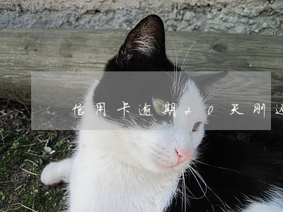 信用卡逾期20天刚还清了