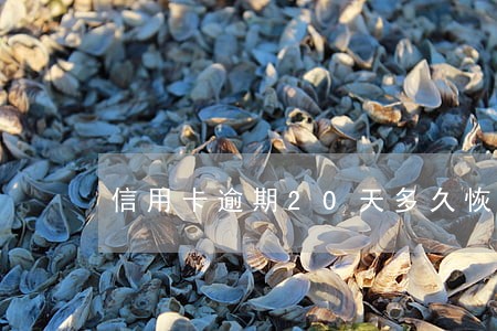 信用卡逾期20天多久恢复正常