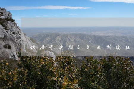 信用卡逾期20天影响征信吗 信用卡逾期20天影响征信吗