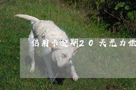 信用卡逾期20天无力偿还后 信用卡逾期20天无力偿还后