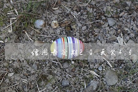 信用卡逾期20天欠4500