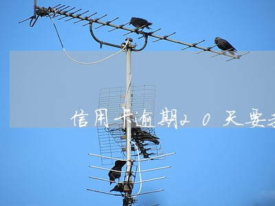信用卡逾期20天要我全额 信用卡逾期20天要我全额