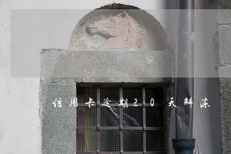 信用卡逾期20天解冻 信用卡逾期20天解冻