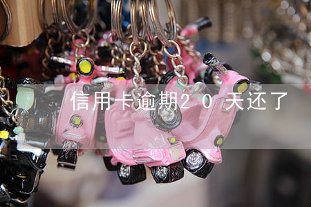 信用卡逾期20天还了 信用卡逾期20天还了