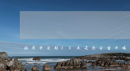信用卡逾期20天还款会坐牢吗