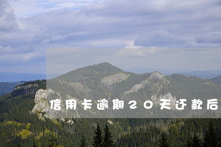信用卡逾期20天还款后果 信用卡逾期20天还款后果