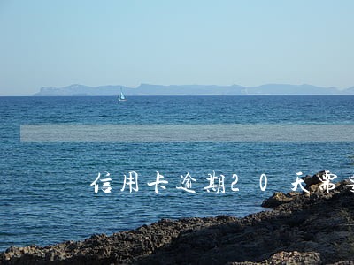 信用卡逾期20天需要多少钱 信用卡逾期20天需要多少钱