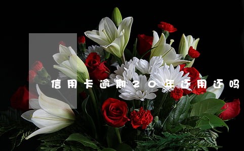 信用卡逾期20年还用还吗 信用卡逾期20年还用还吗